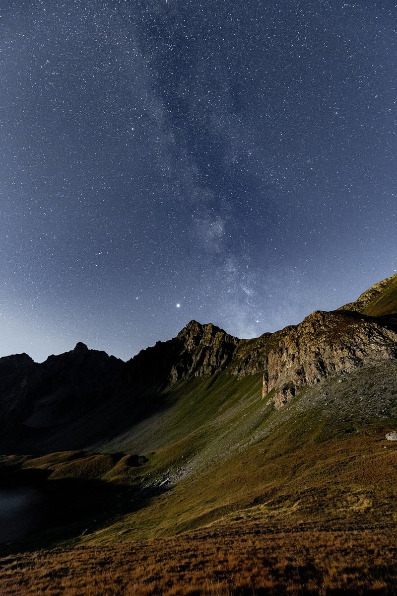 Starry Night Picnics